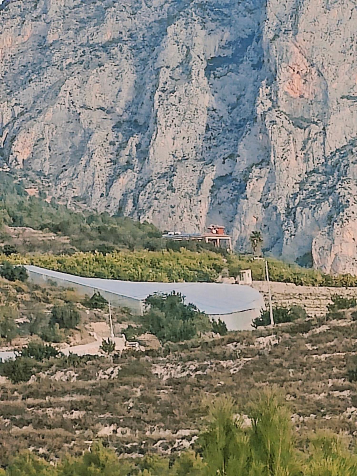 Finca Oliva Bolulla Esterno foto