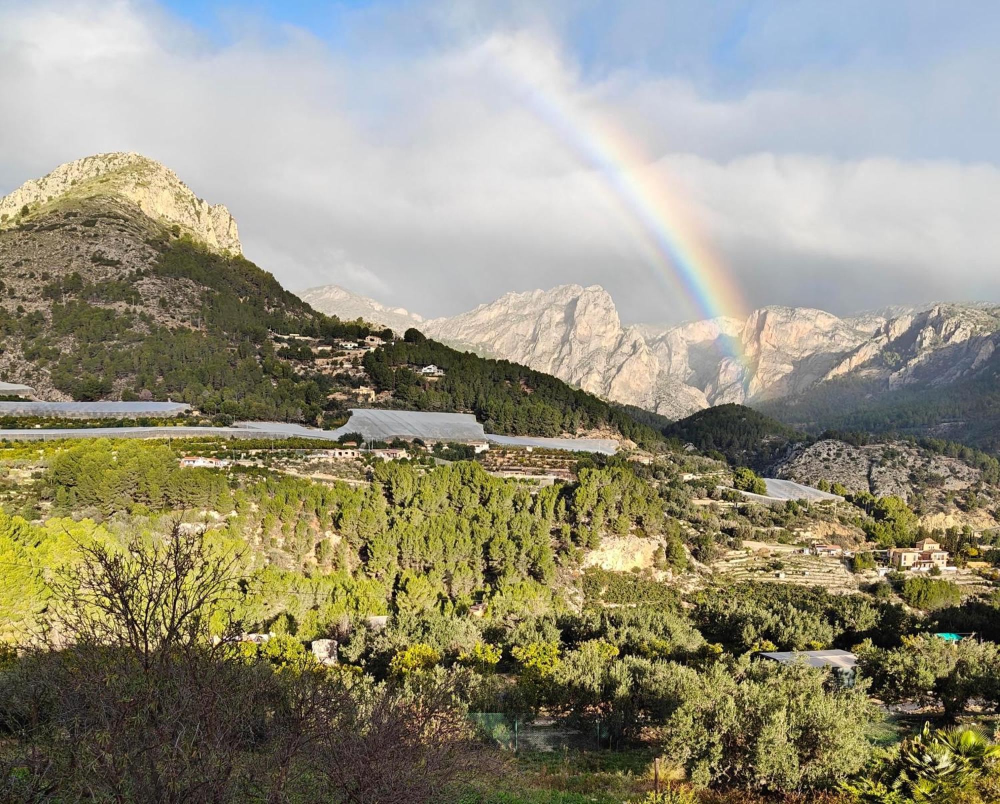 Finca Oliva Bolulla Esterno foto